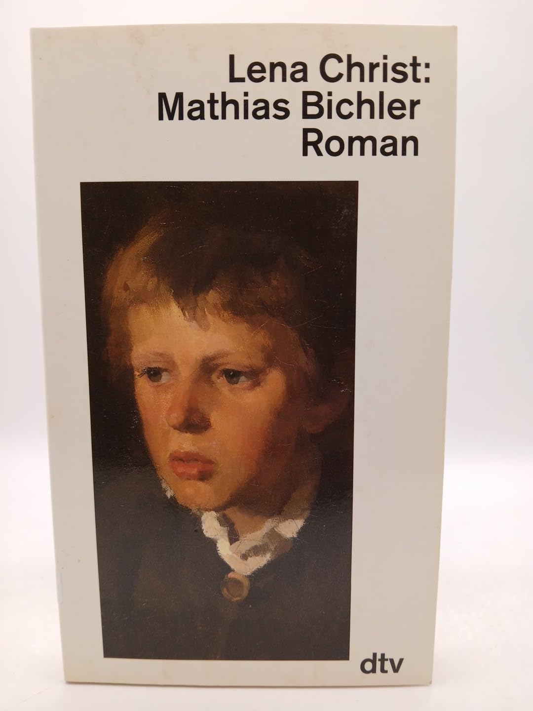 Mathias Bichler: Roman (dtv Literatur) Contemporary literature