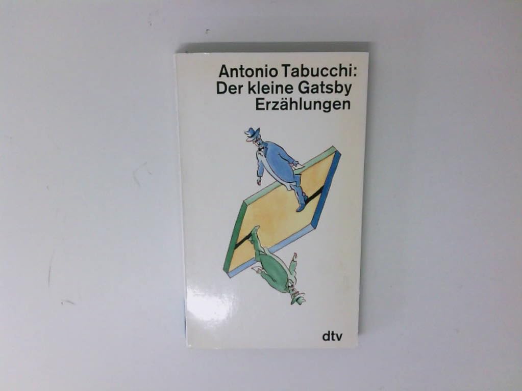 Der kleine Gatsby: Erzählungen (dtv Literatur) Essays & Short Stories