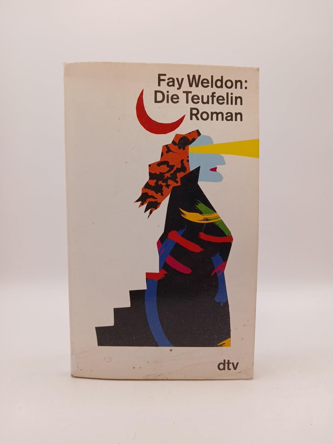 DIE TEUFELIN: Roman (dtv Literatur) Contemporary literature