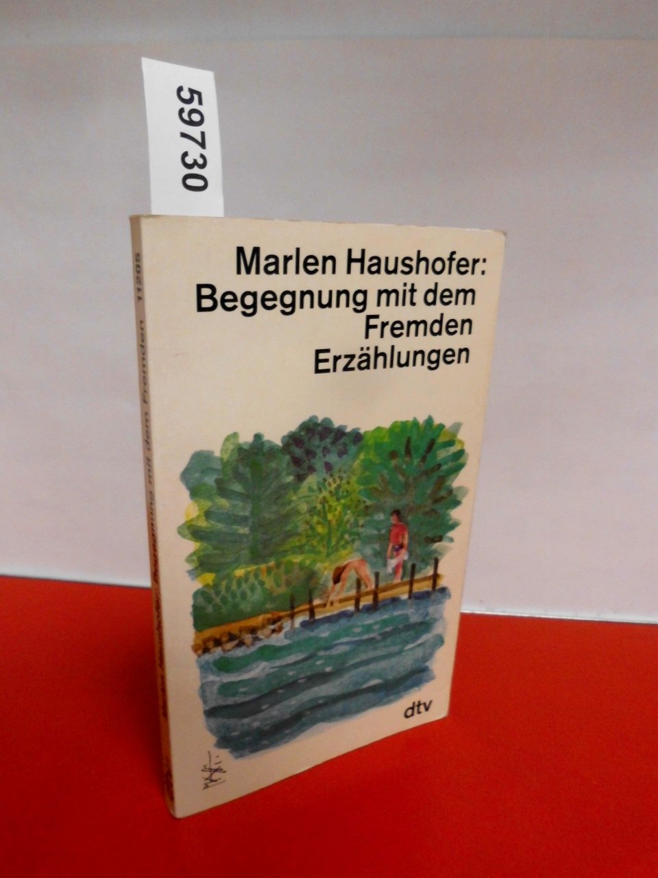 Begegnung mit dem Fremden: Erzählungen (dtv Literatur) Contemporary literature