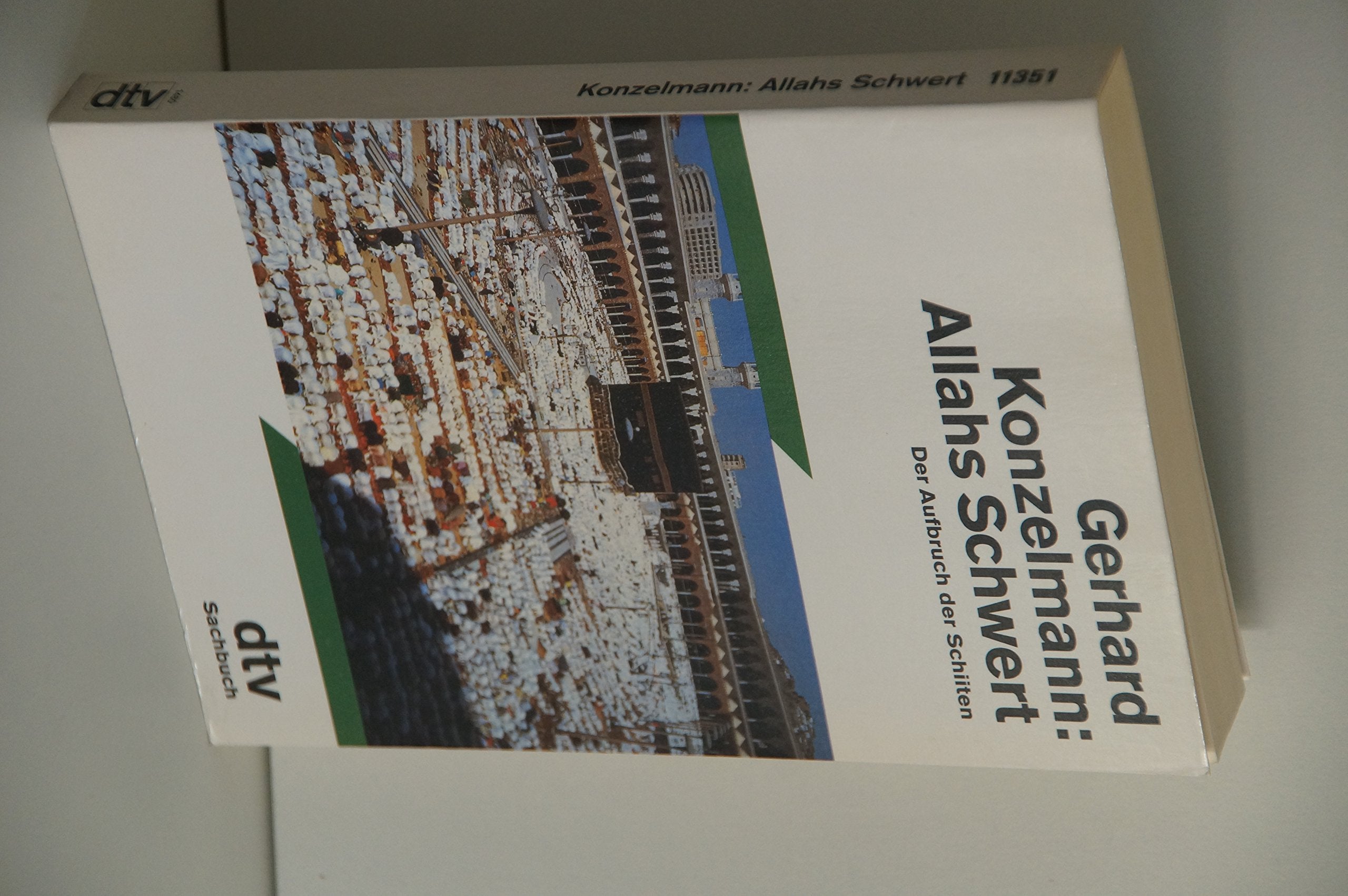 Allahs Schwert: Der Aufbruch der Schiiten (dtv Sachbuch) Politics & History