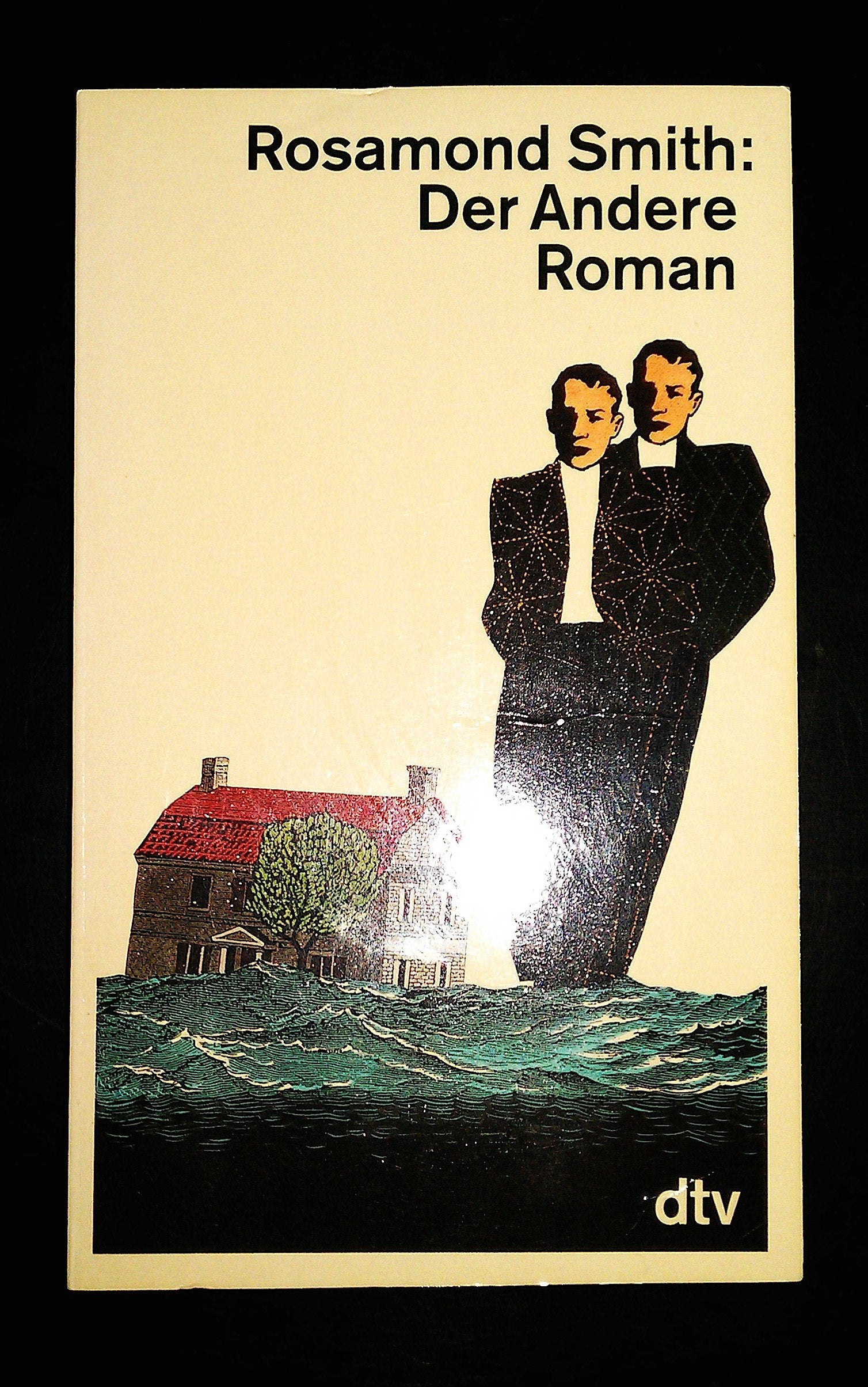 DER ANDERE: Kriminalroman (dtv Literatur) Contemporary literature
