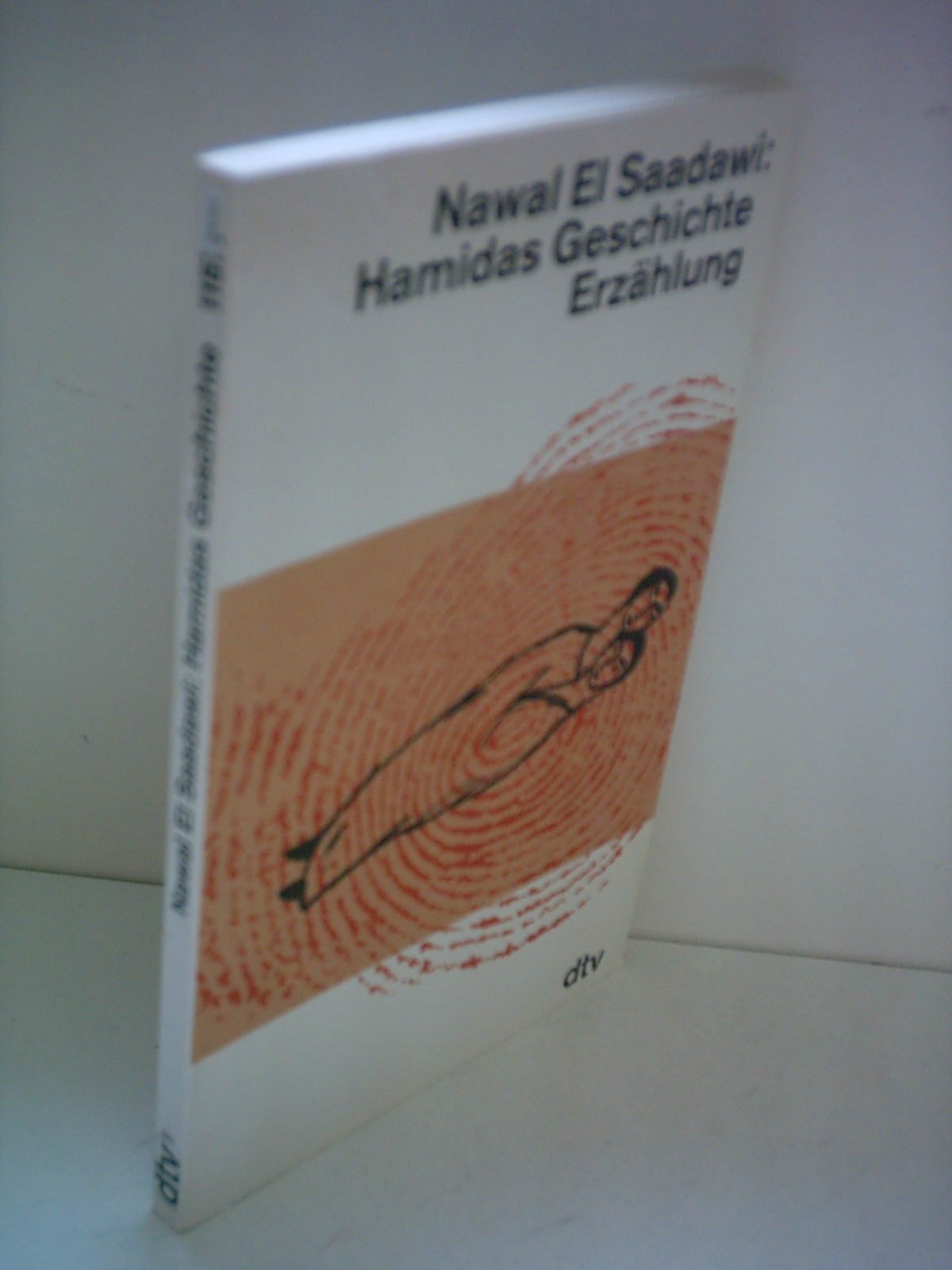 Hamidas Geschichte: Erzählung. Drei Kontinente (dtv Literatur) Books