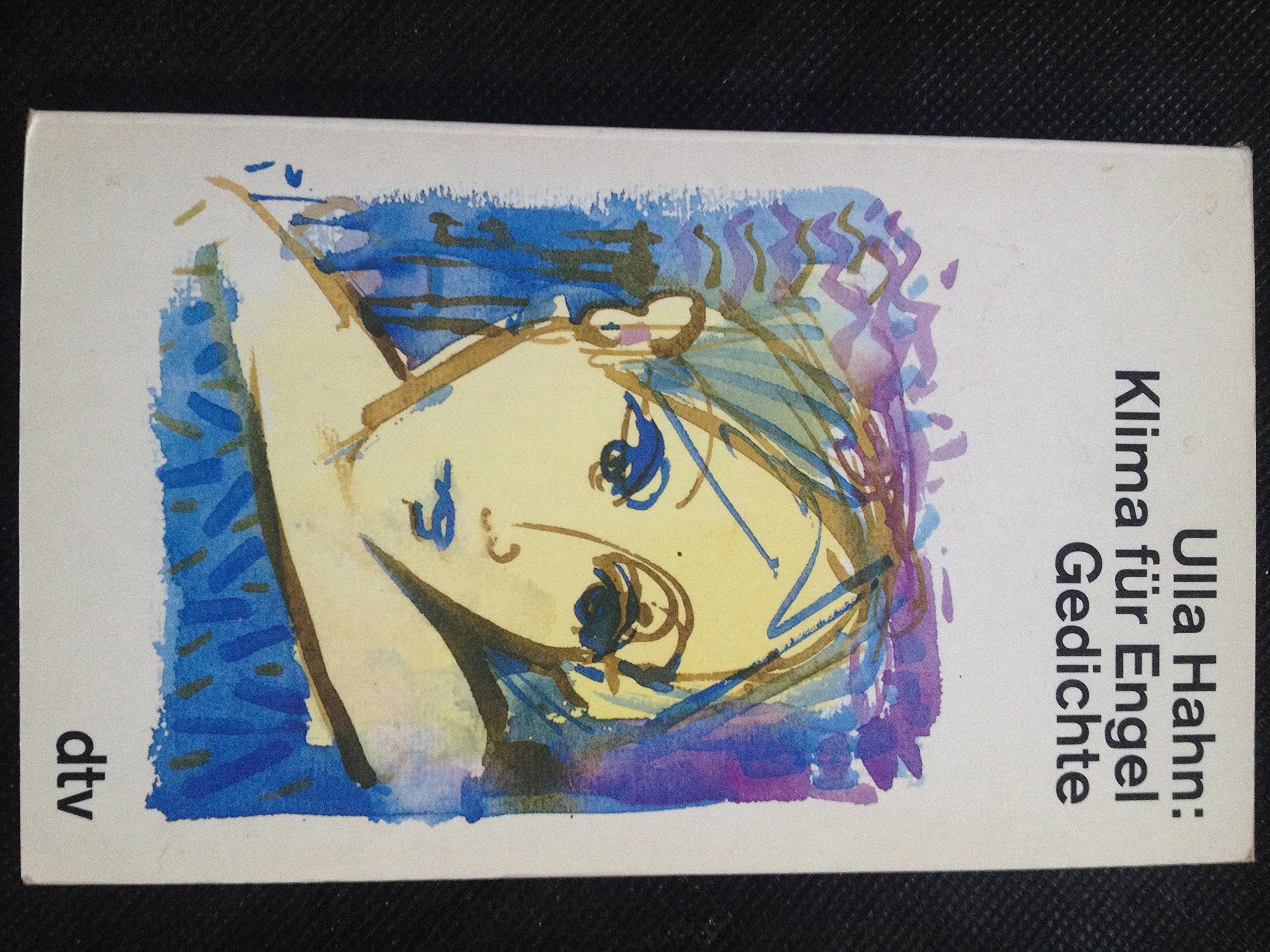 Klima für Engel: Gedichte (dtv Literatur) Fiction