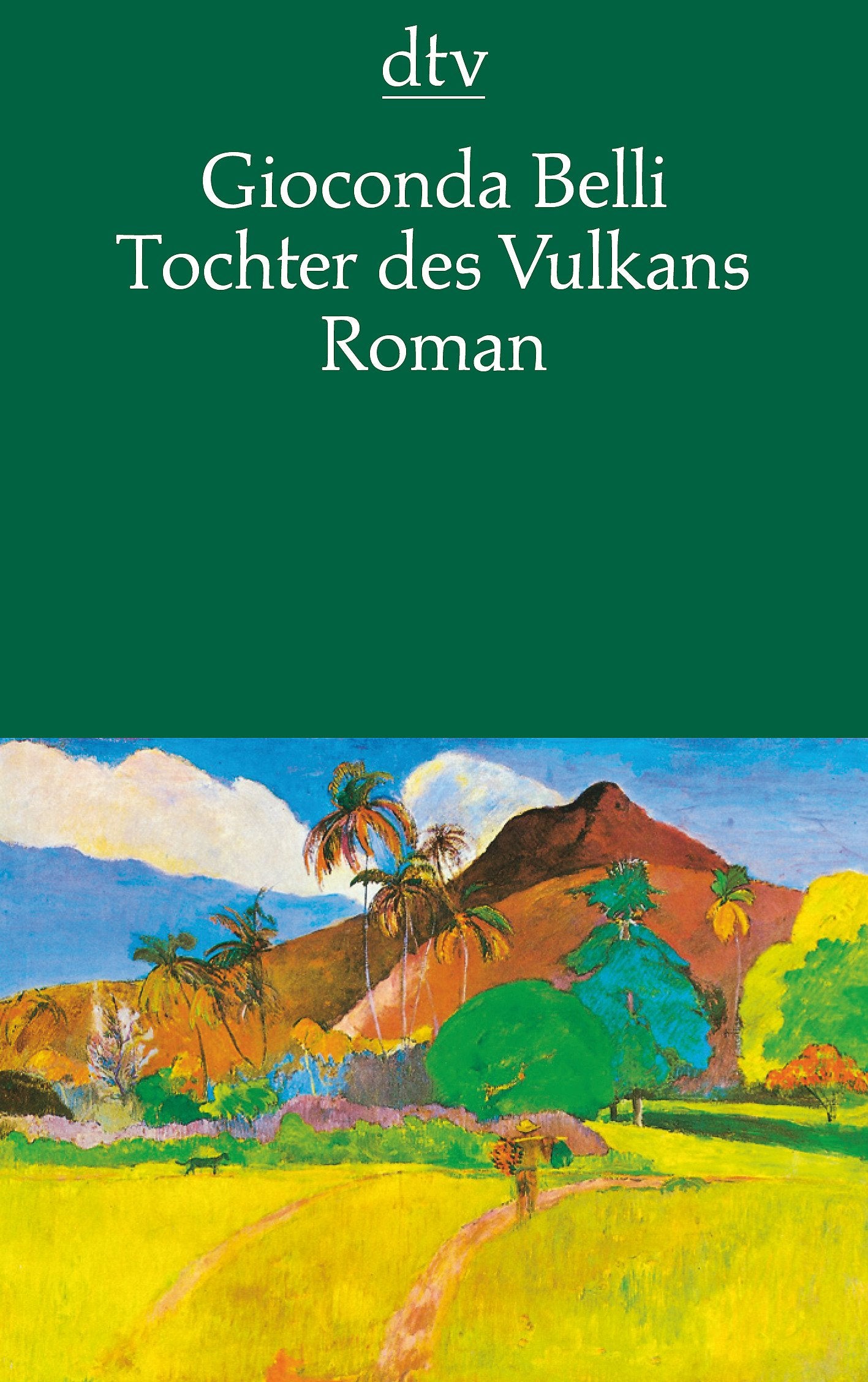 Tochter des Vulkans: Roman (dtv Literatur) Contemporary literature