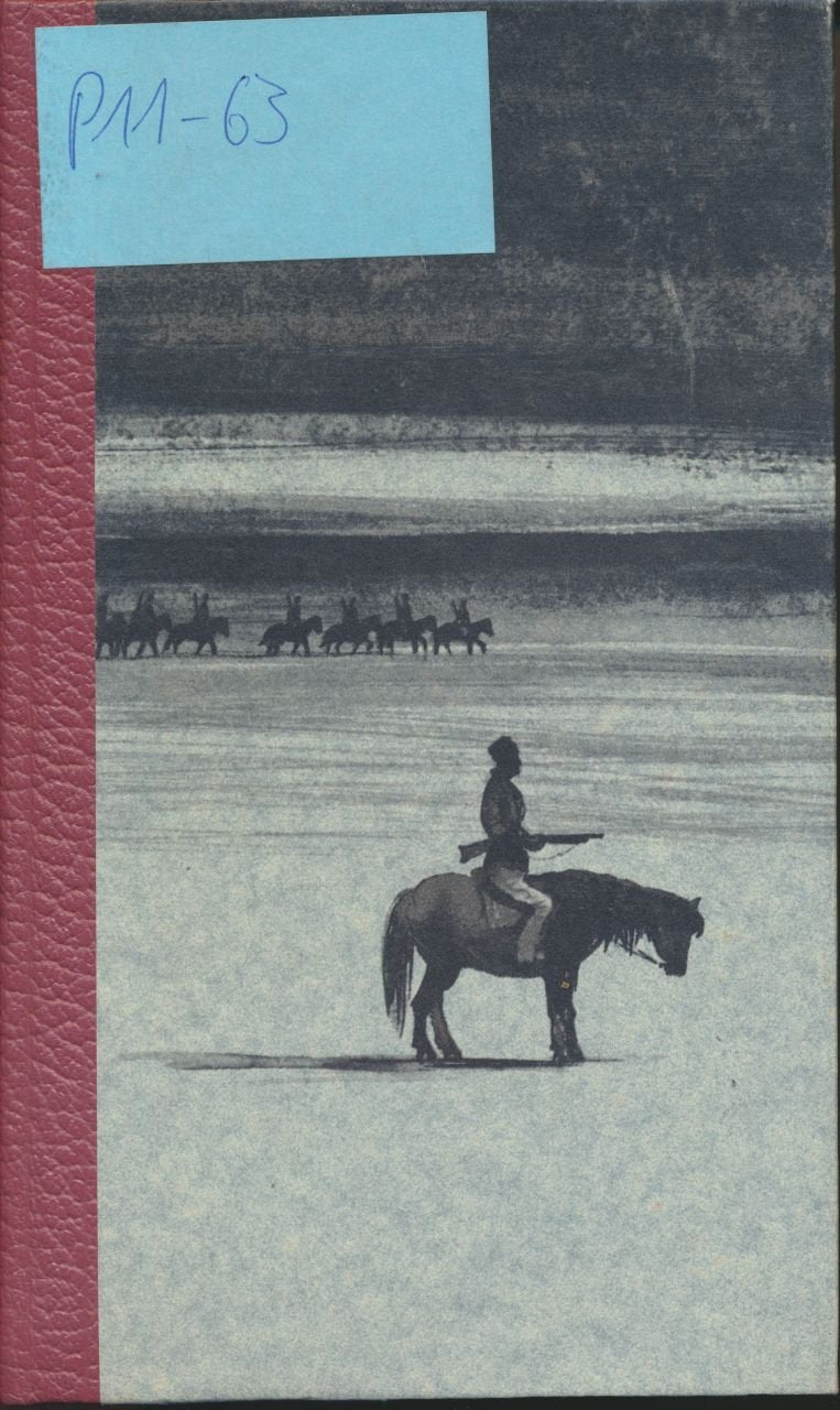 Der stille Don: Roman (dtv Literatur) Books