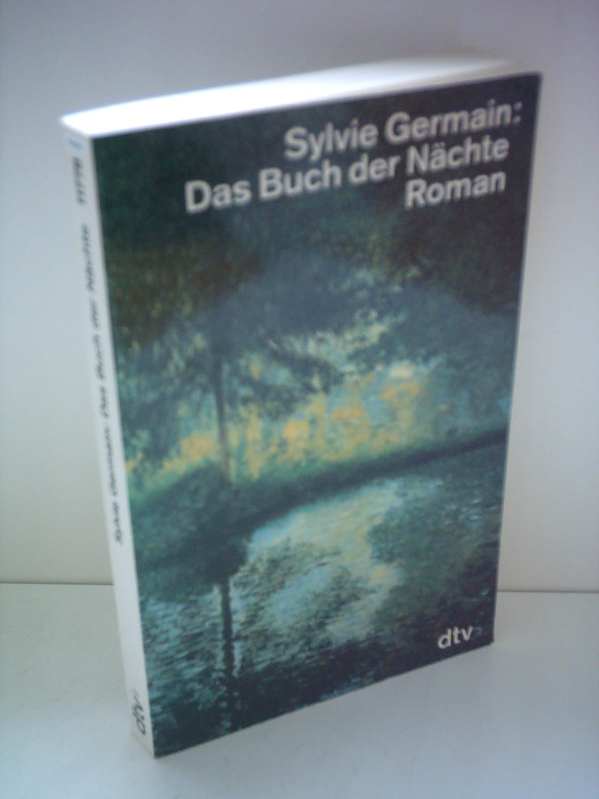Das Buch der Nächte: Roman (dtv Literatur) Books
