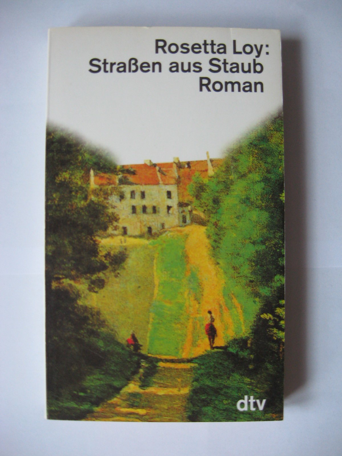 Strassen aus Staub: Roman (dtv Literatur) Books