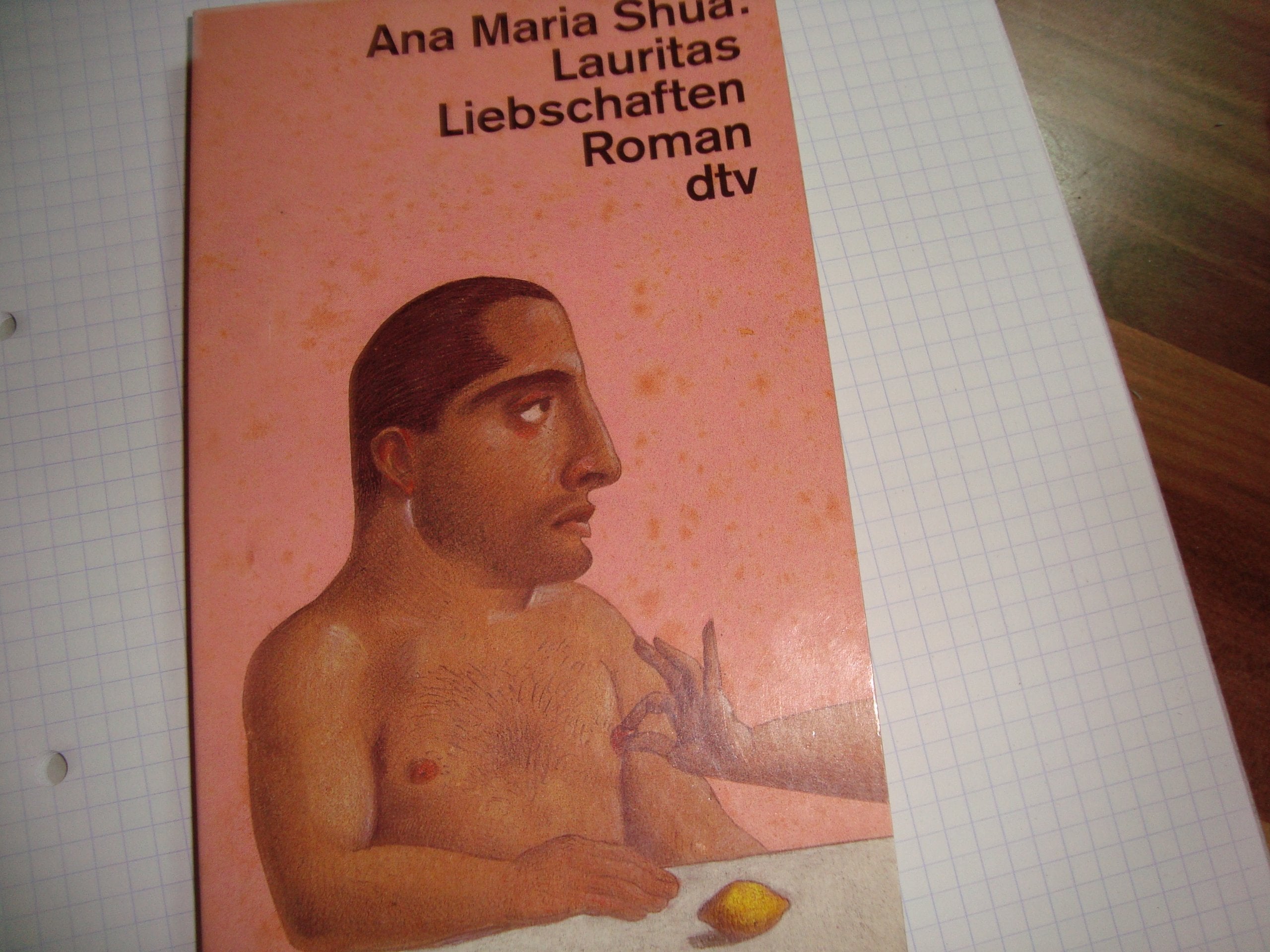 Lauritas Liebschaften: Roman (dtv Literatur) Books