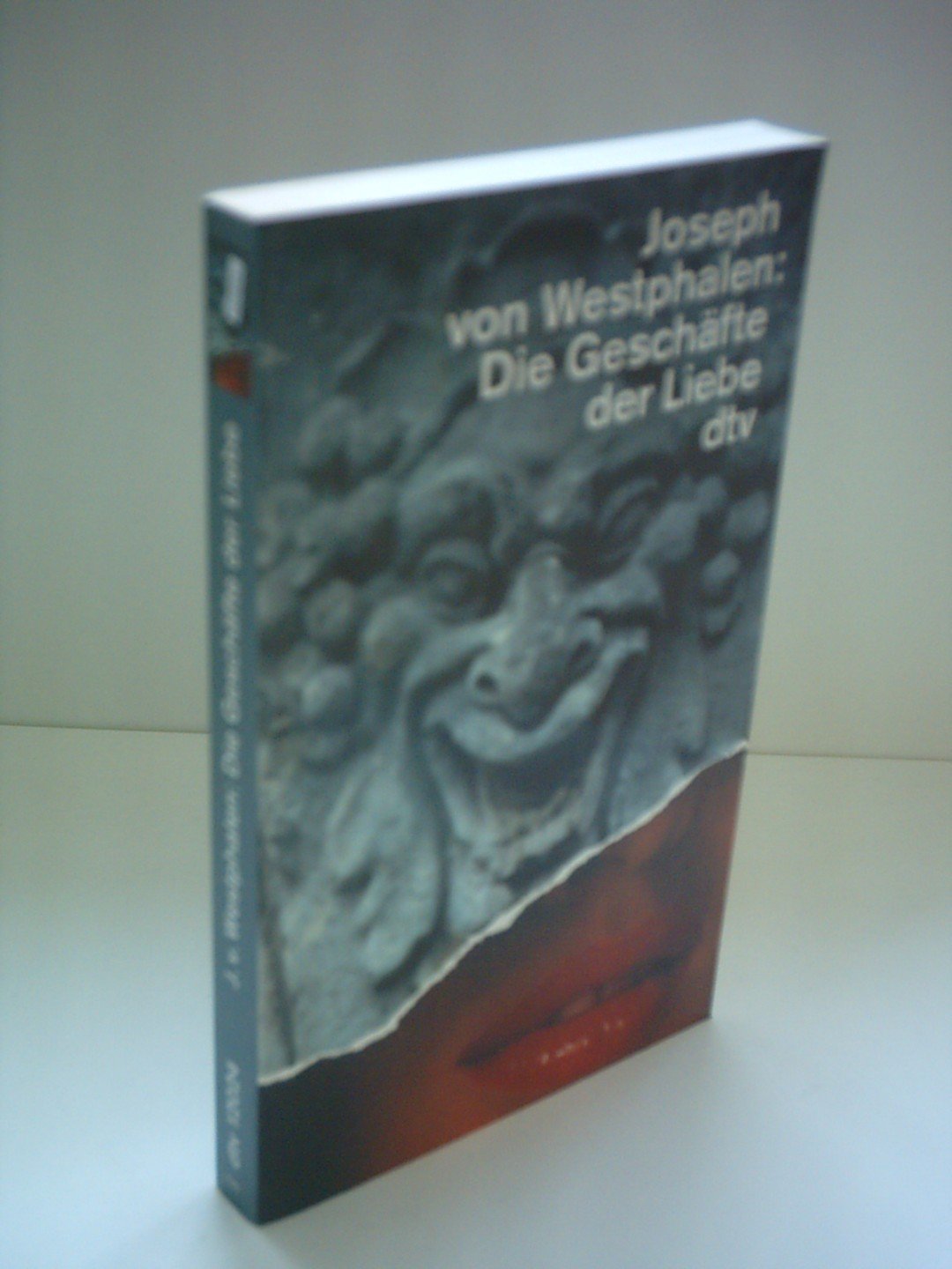 Die Geschäfte der Liebe (dtv Literatur) Books