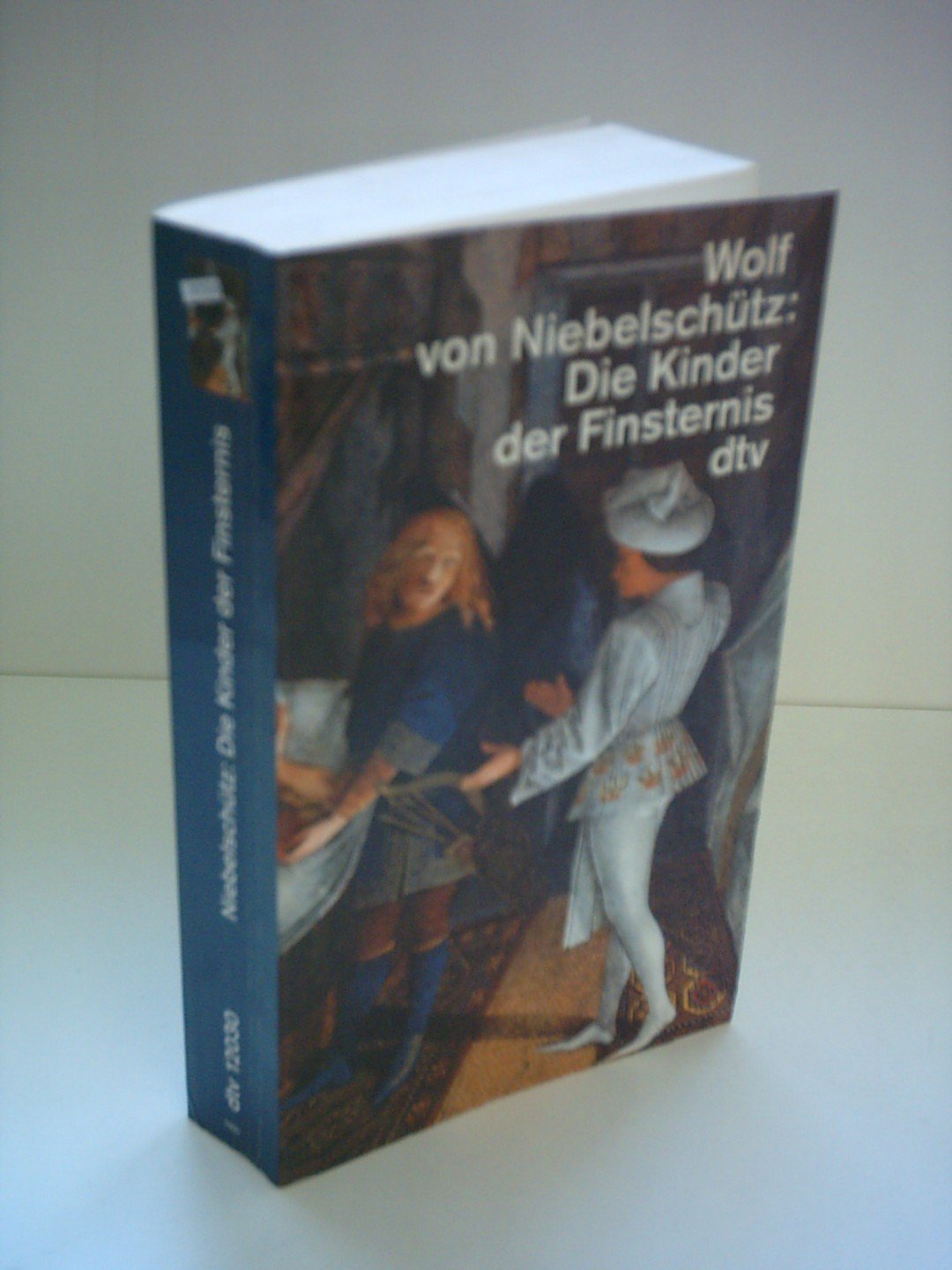Die Kinder der Finsternis: Roman (dtv Literatur) Historical Fiction