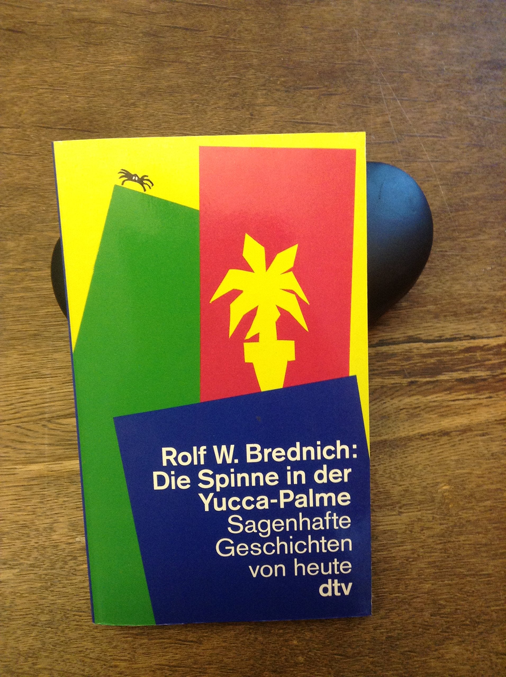 Die Spinne in der Yucca-Palme: Sagenhafte Geschichten von heute (dtv Literatur) Contemporary literature