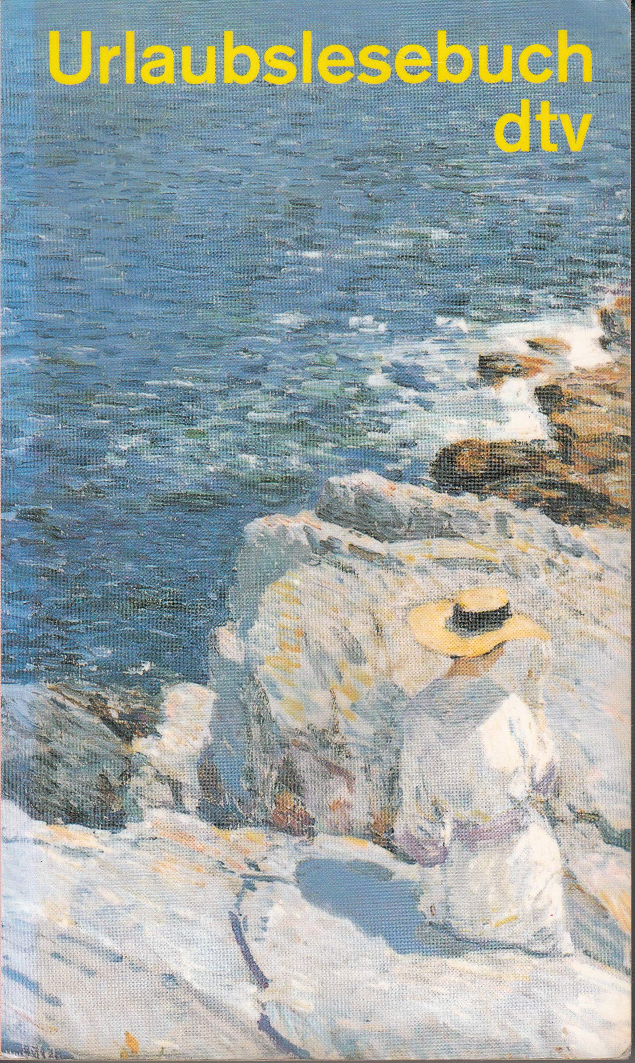 Urlaubslesebuch (dtv Literatur) Contemporary literature