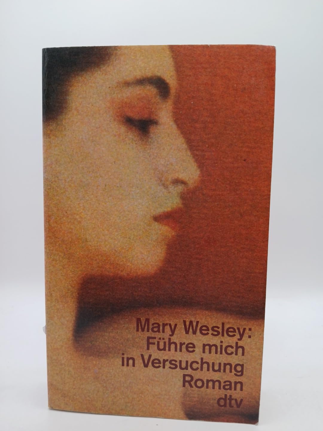 Führe mich in Versuchung: Roman (dtv Literatur) Contemporary literature