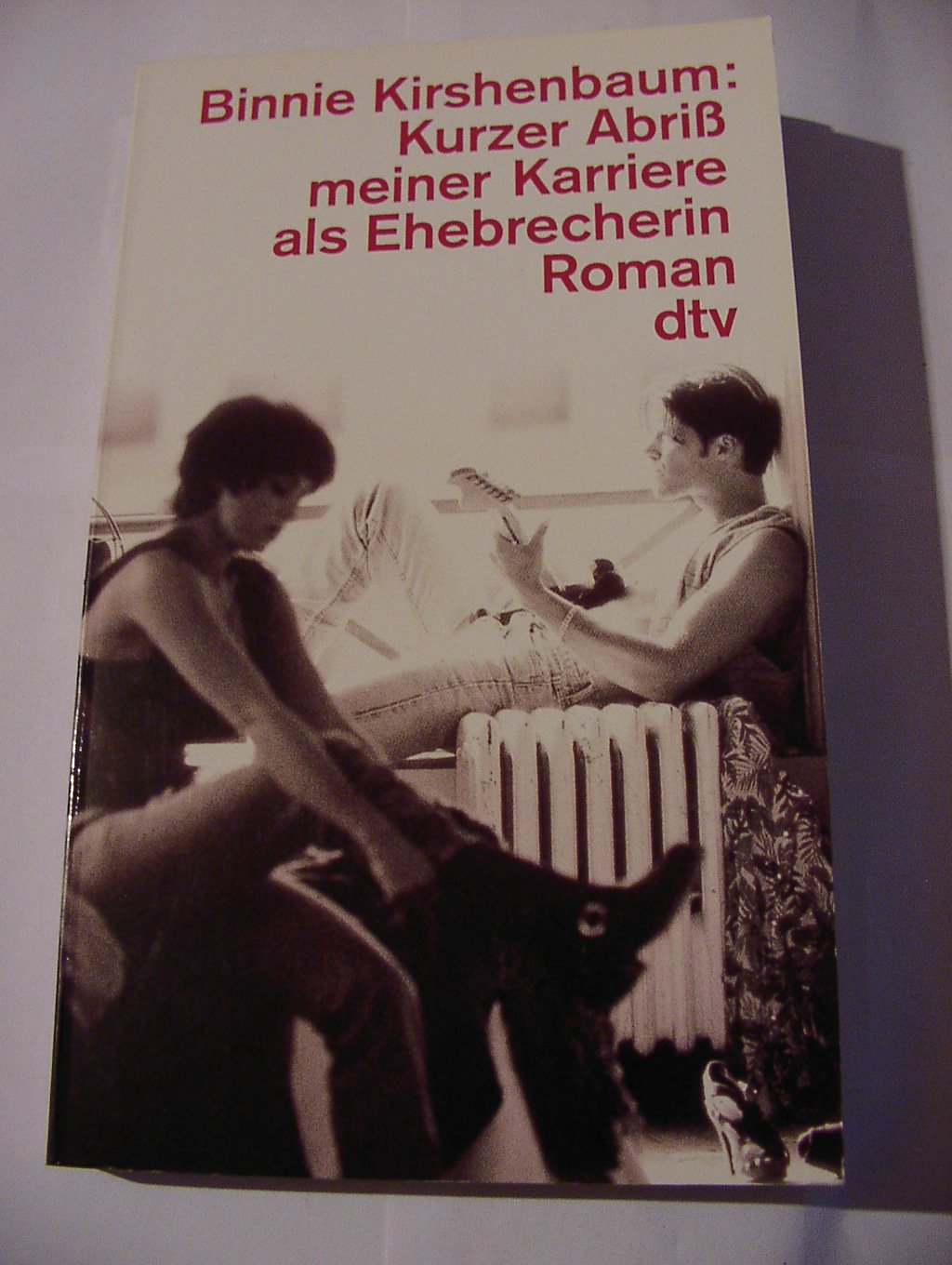 Kurzer Abriß meiner Karriere als Ehebrecherin: Roman (dtv Literatur) Contemporary literature