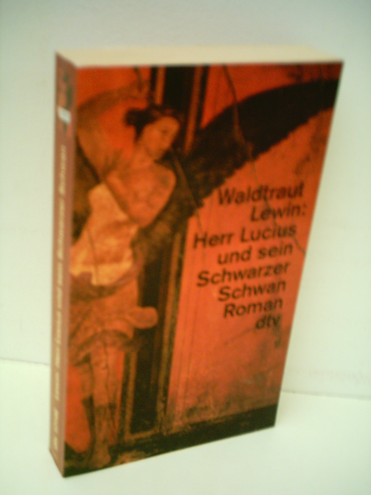 Herr Lucius und sein Schwarzer Schwan: Roman (dtv Literatur) Business, Finance & Career