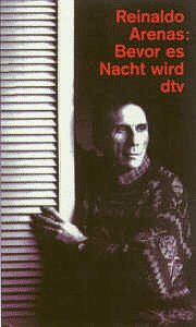 Bevor es Nacht wird: Autobiographie (dtv Literatur) Contemporary literature