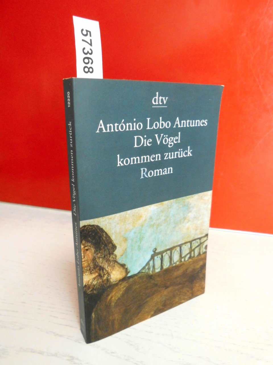 Die Vögel kommen zurück: Roman (dtv Literatur) Books