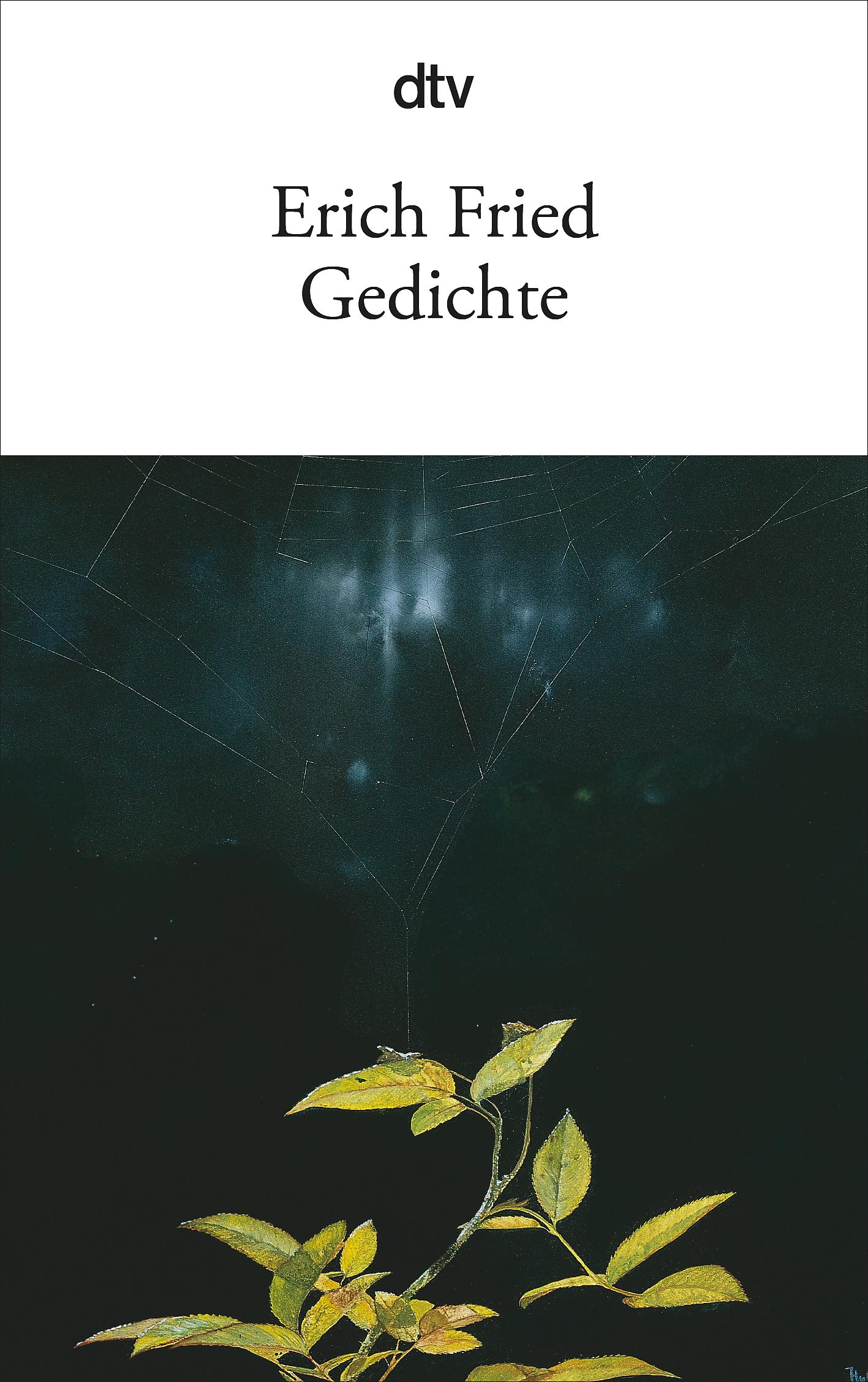 Gedichte Poetry