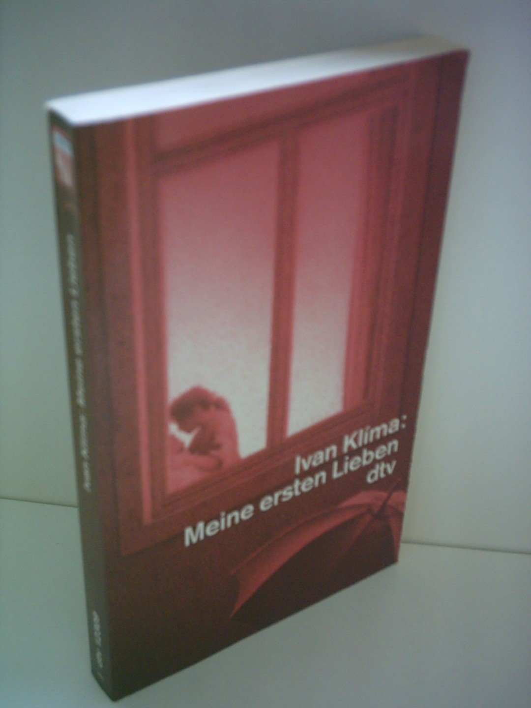 Meine ersten Lieben: Erzählungen (dtv Literatur) Contemporary literature