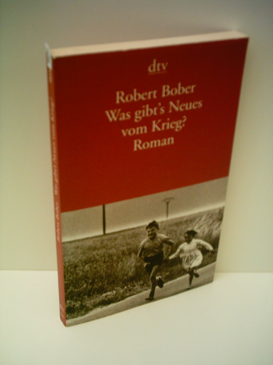 Was gibt's Neues vom Krieg?: Roman (dtv Literatur) Contemporary literature