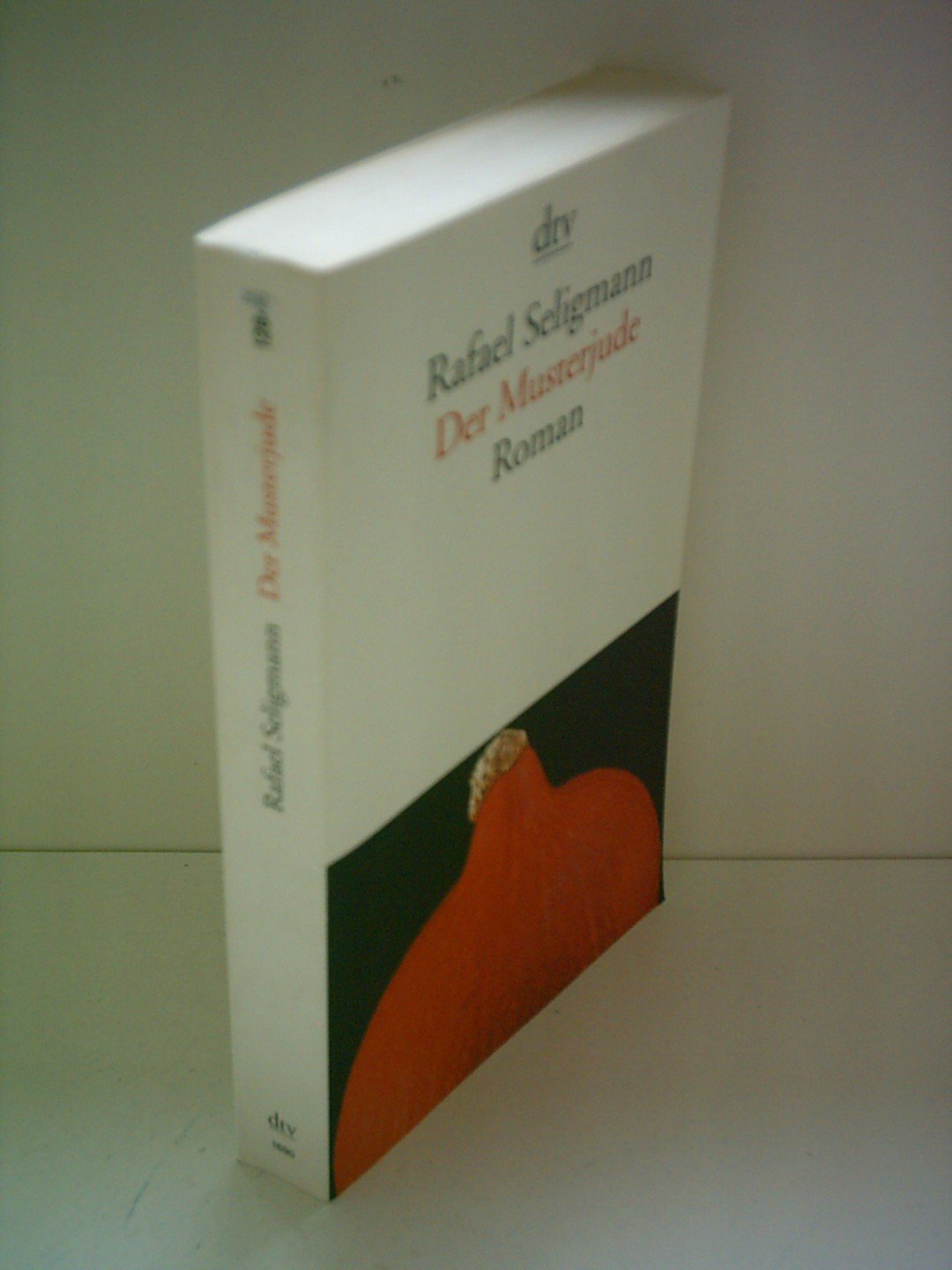 Der Musterjude: Roman (dtv Literatur) Contemporary literature