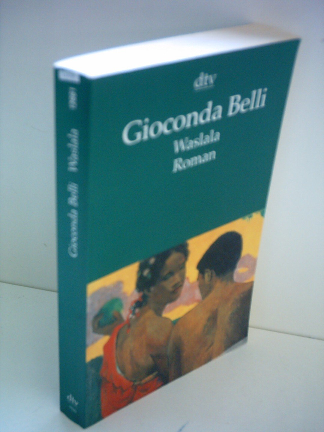Waslala: Roman (dtv Literatur) Contemporary literature