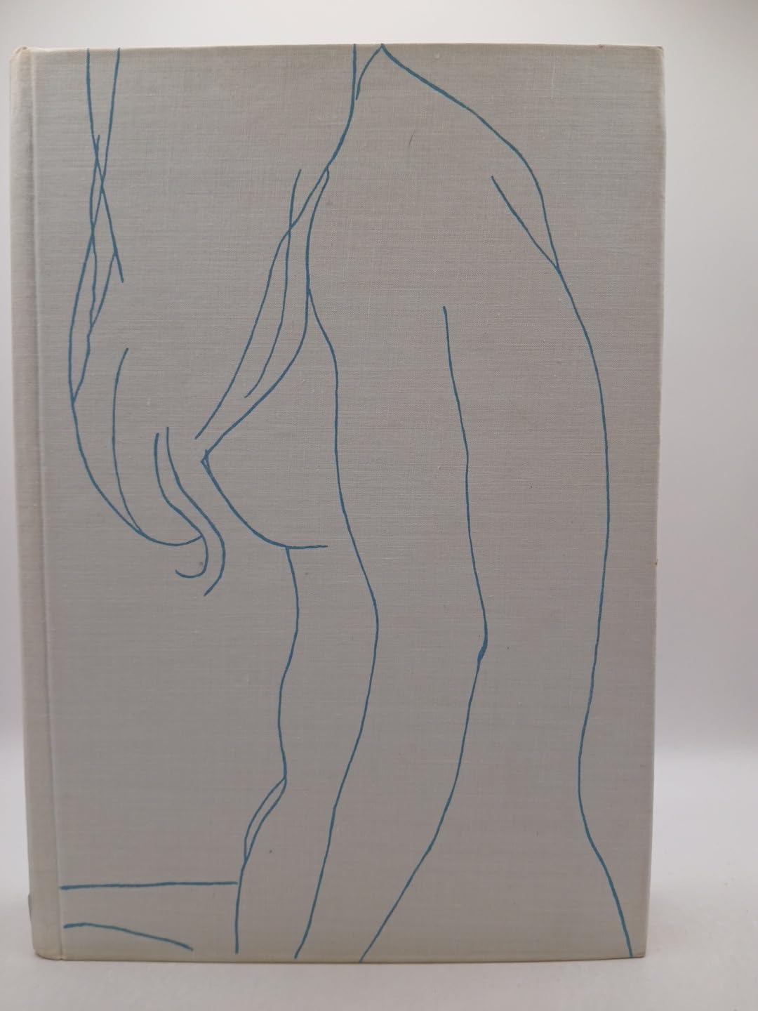 Das Heptameron: Novellen Contemporary literature