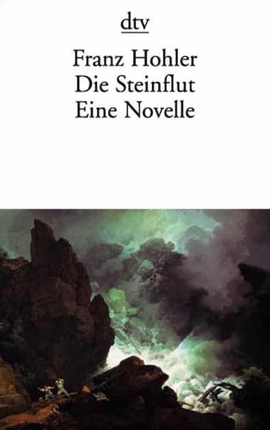Die Steinflut: Eine Novelle (dtv Literatur) Contemporary literature
