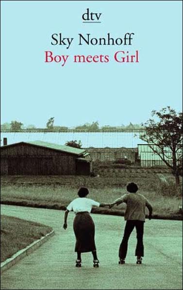 Boy meets Girl: Sieben Erzählungen und eine Novelle Contemporary literature