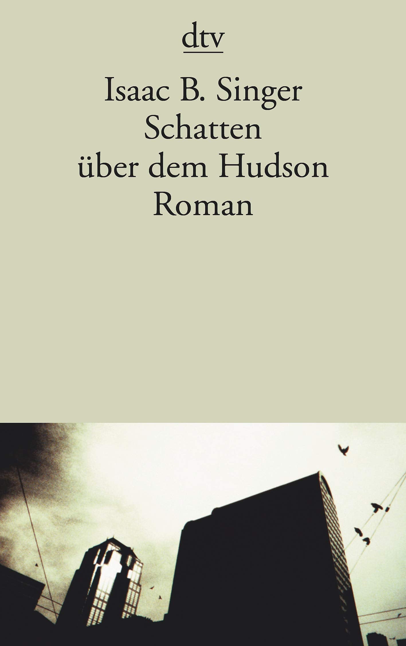 Schatten über dem Hudson: Roman Contemporary literature