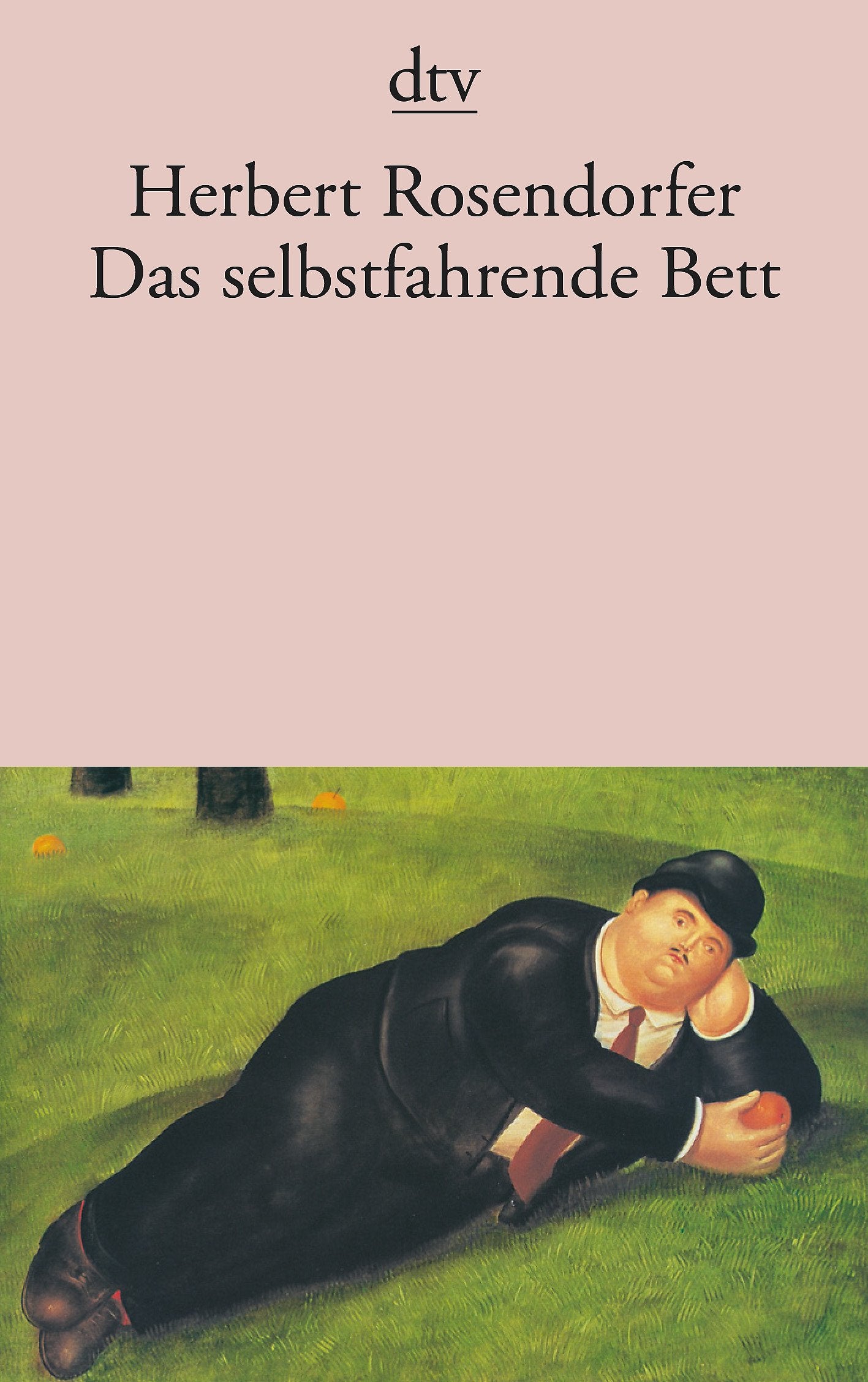 Das selbstfahrende Bett: und andere Geschichten (dtv Literatur) Contemporary literature