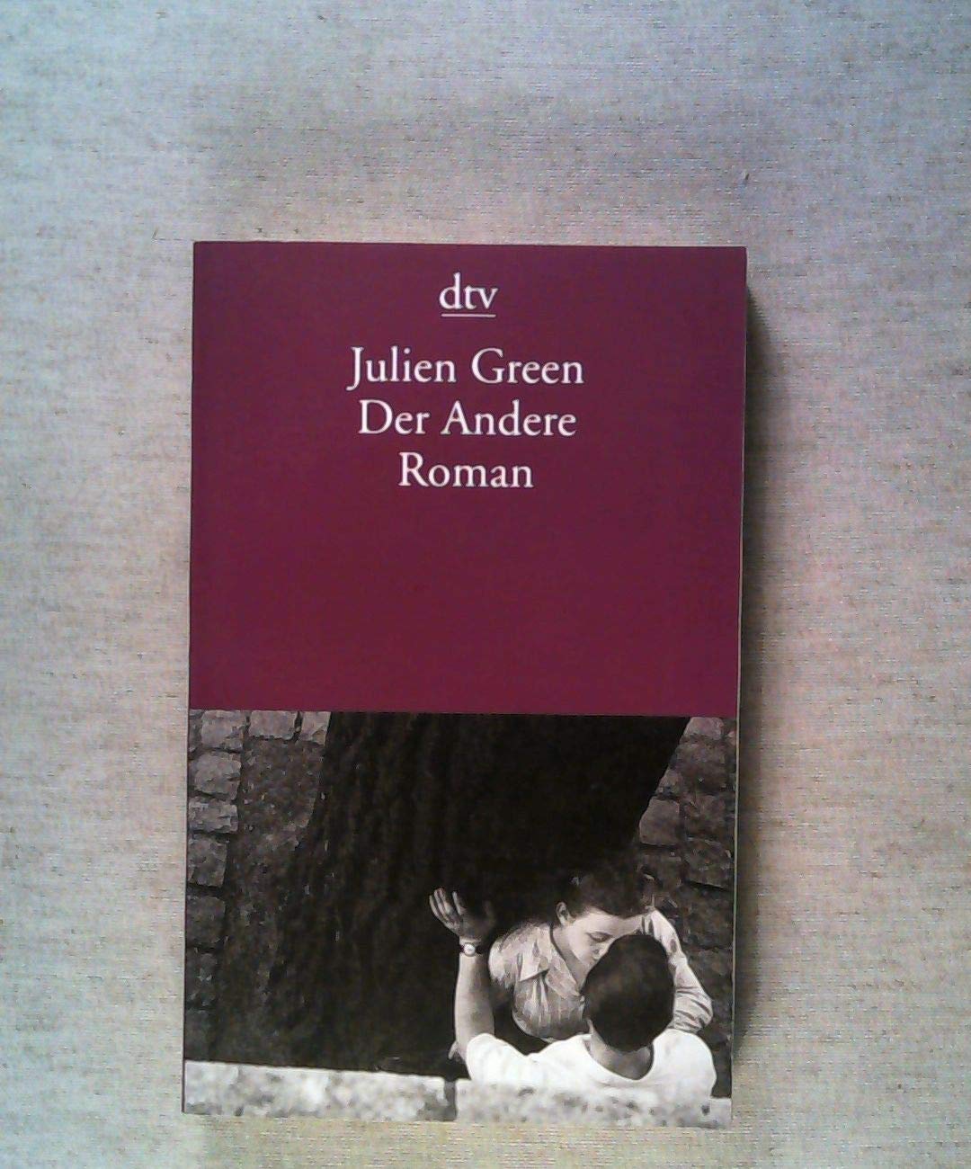 Der Andere: Roman (dtv Literatur) Contemporary literature