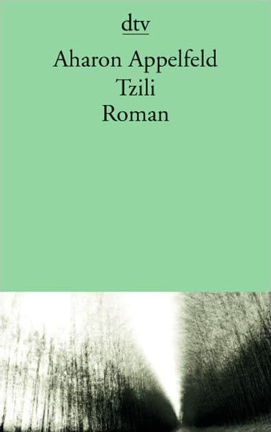 Tzili: Roman (dtv Literatur) Contemporary literature
