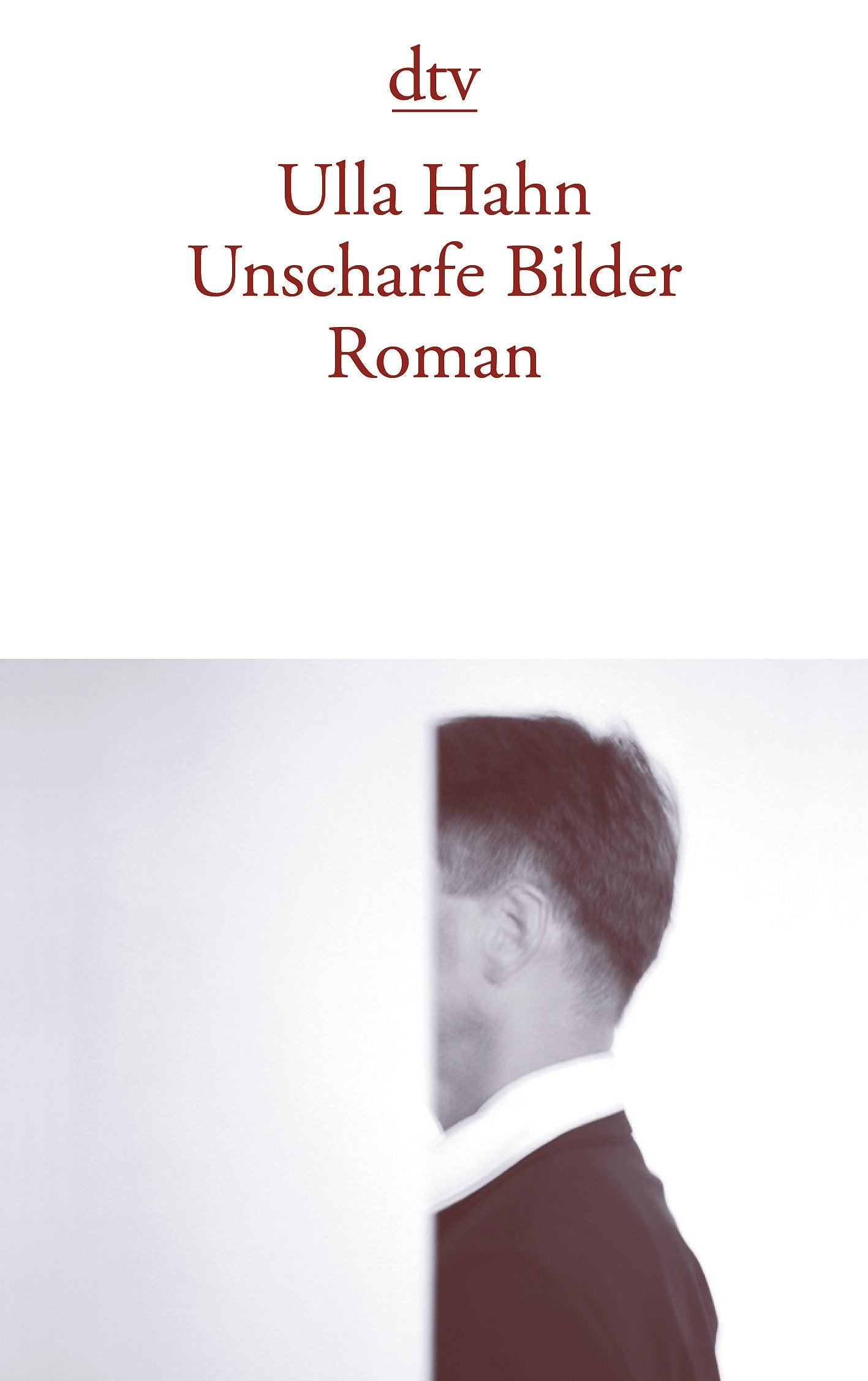 Unscharfe Bilder: Roman (dtv Literatur) Contemporary literature