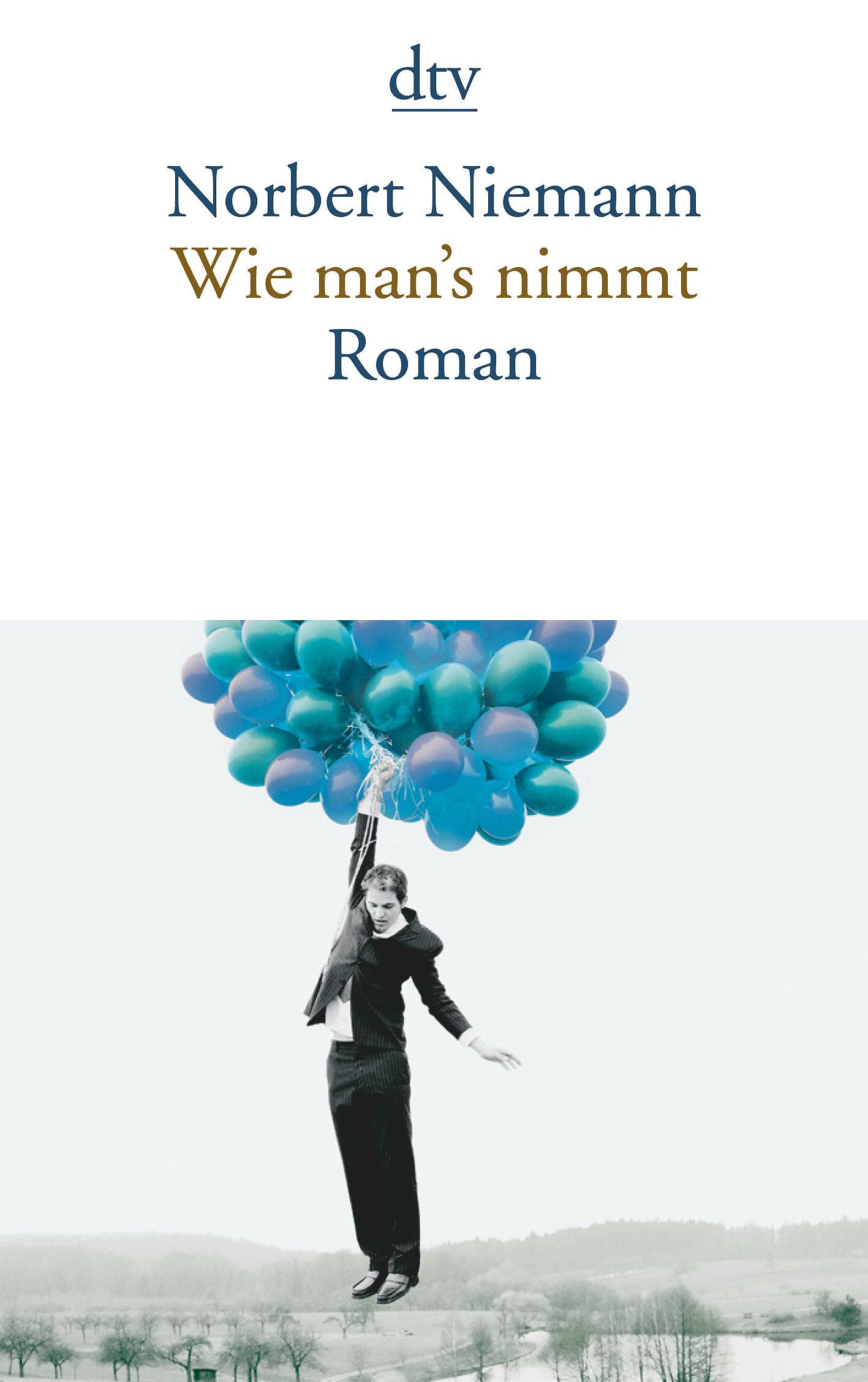 Wie man's nimmt: Roman (dtv Literatur) Contemporary literature