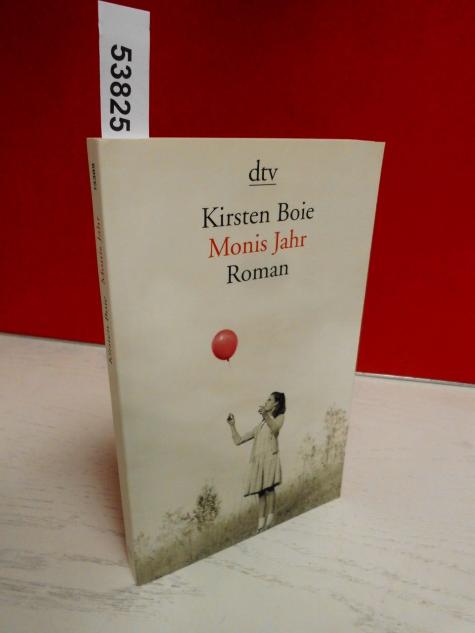 Monis Jahr: Roman (dtv Literatur) Contemporary literature