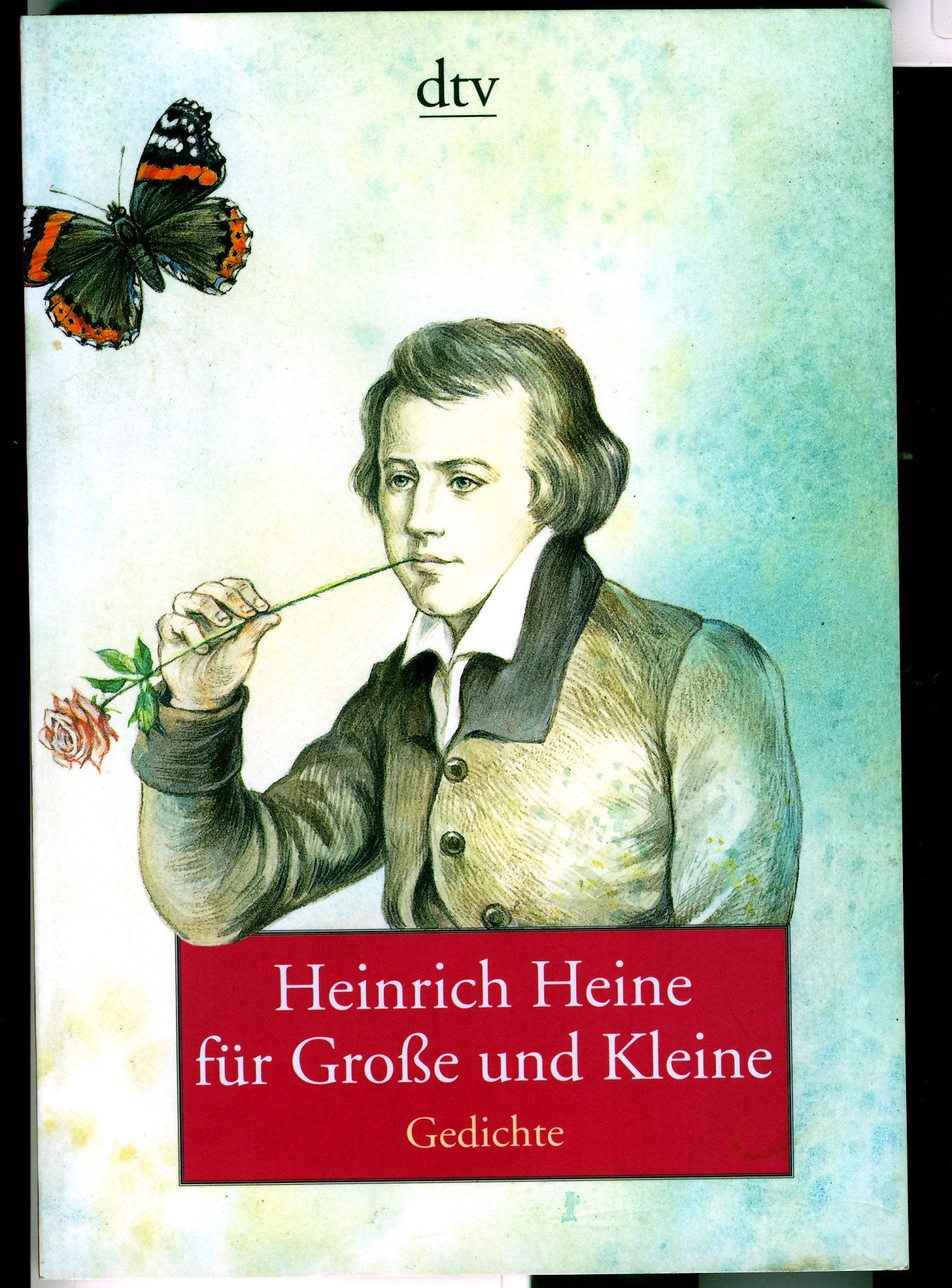 Heinrich Heine für Große und Kleine (dtv Literatur) Poetry