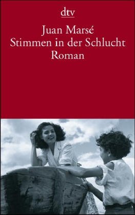 Stimmen in der Schlucht: Roman (dtv Literatur) Contemporary literature