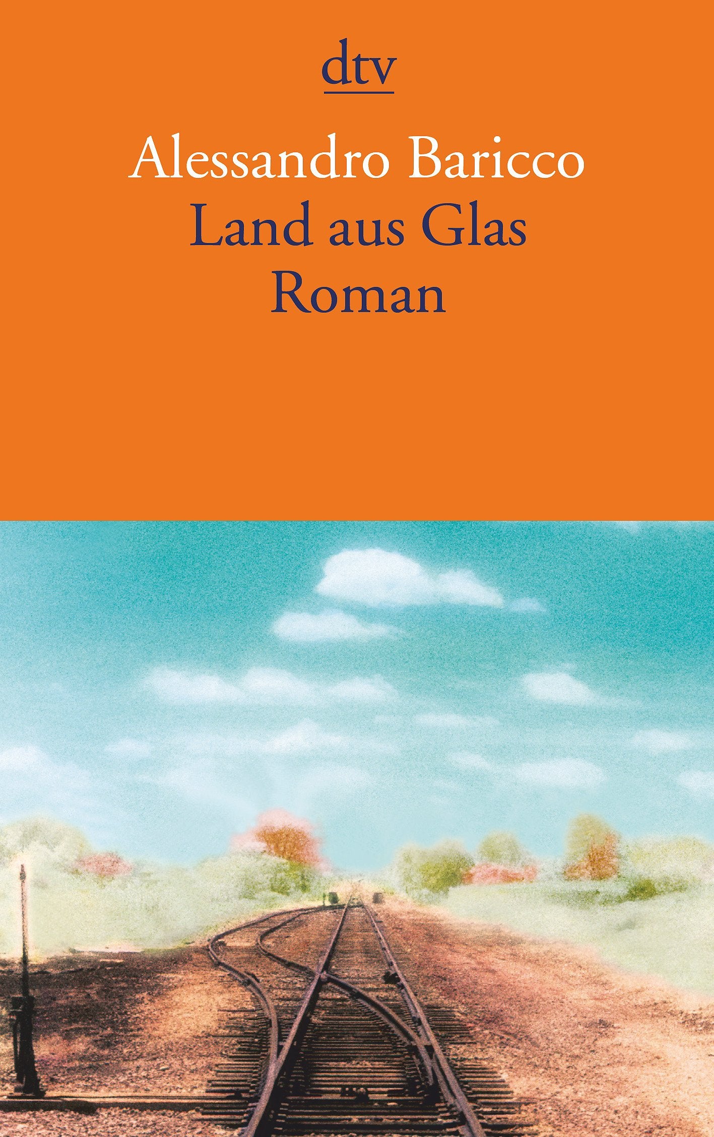 Land aus Glas: Roman (dtv Literatur) Contemporary literature
