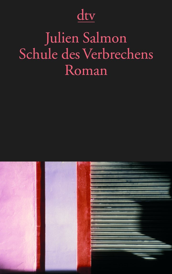 Schule des Verbrechens: Roman (dtv Literatur) Contemporary literature