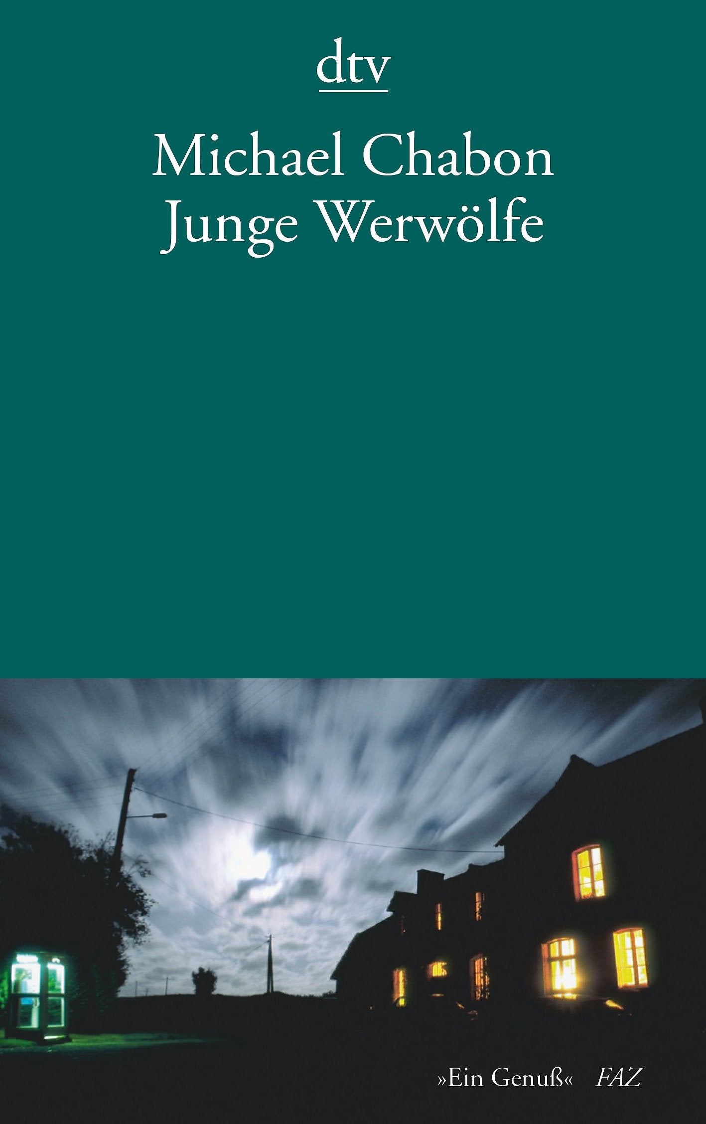 Junge Werwölfe: Erzählungen (dtv Literatur) Contemporary literature