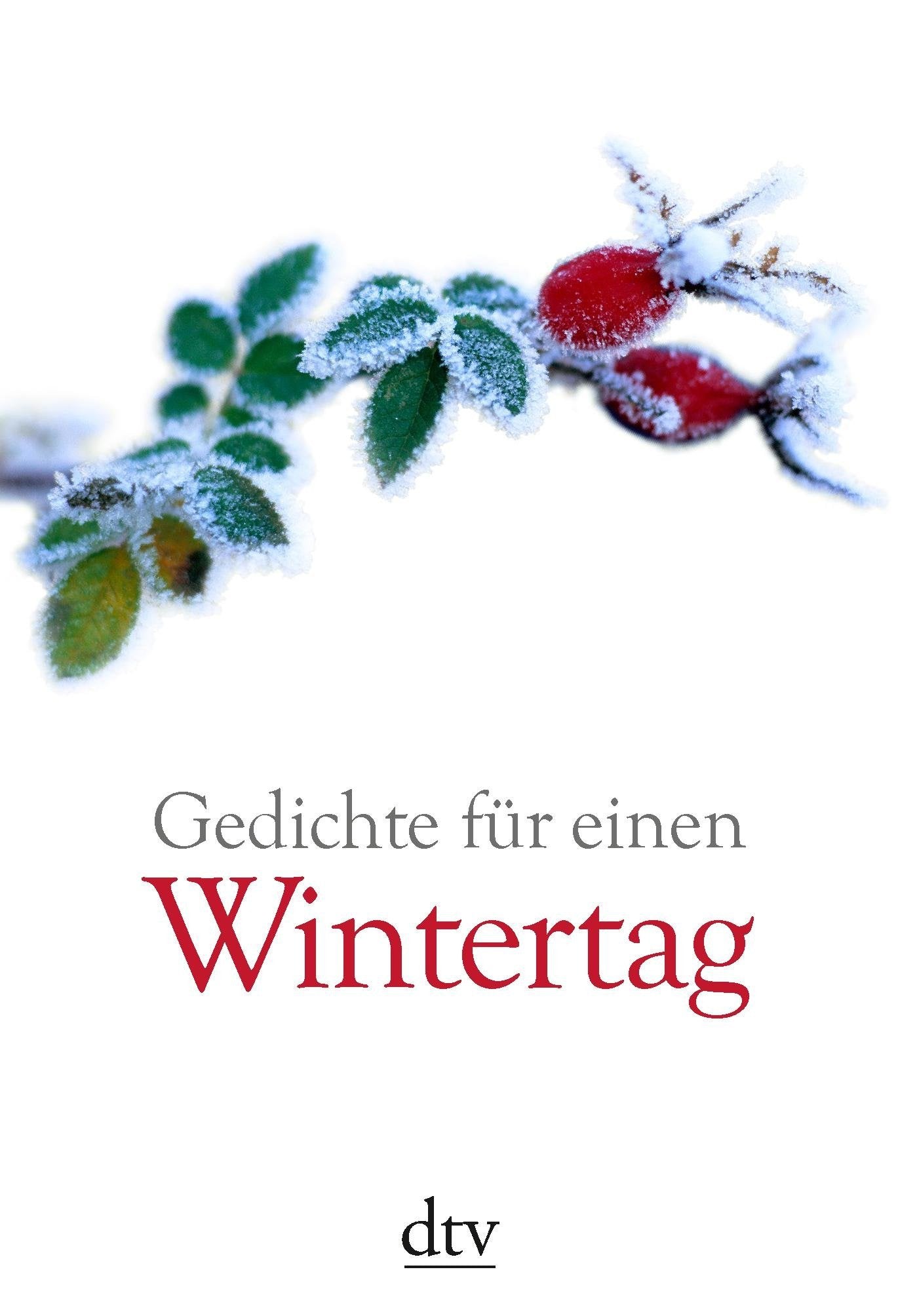 Gedichte für einen Wintertag: Originalausgabe (dtv Literatur) Poetry