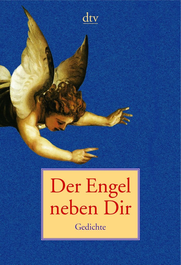 Der Engel neben Dir: Gedichte zwischen Himmel und Erde (dtv Literatur) Poetry