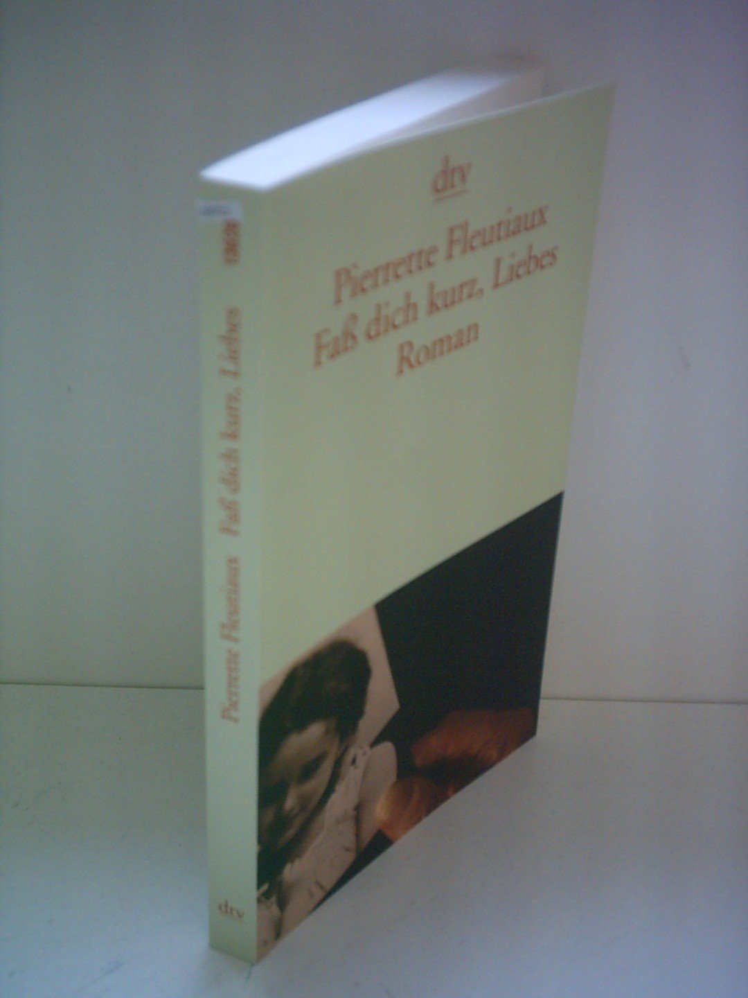 Faß dich kurz, Liebes: Roman (dtv Literatur) Contemporary literature