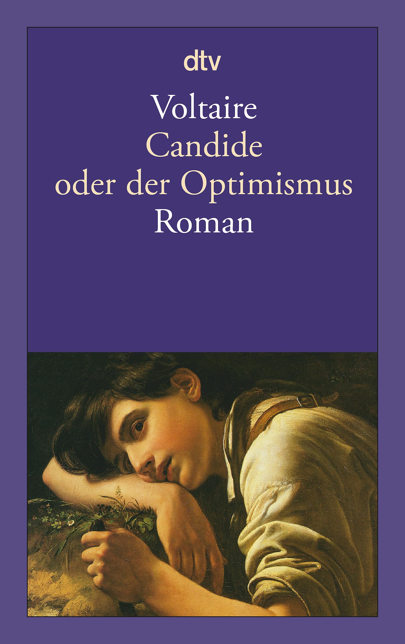 Candide oder der Optimismus Philosophy Books