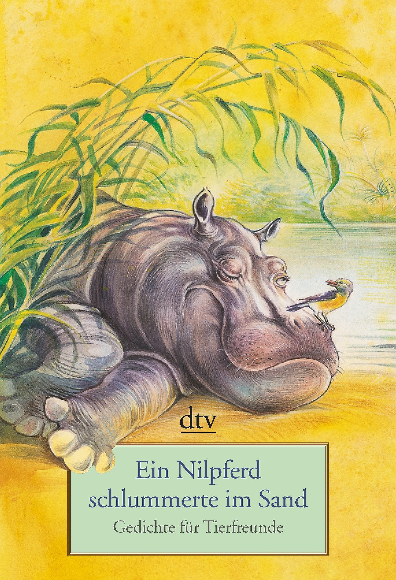 Ein Nilpferd schlummerte im Sand: Gedichte für Tierfreunde (dtv Literatur) Poetry