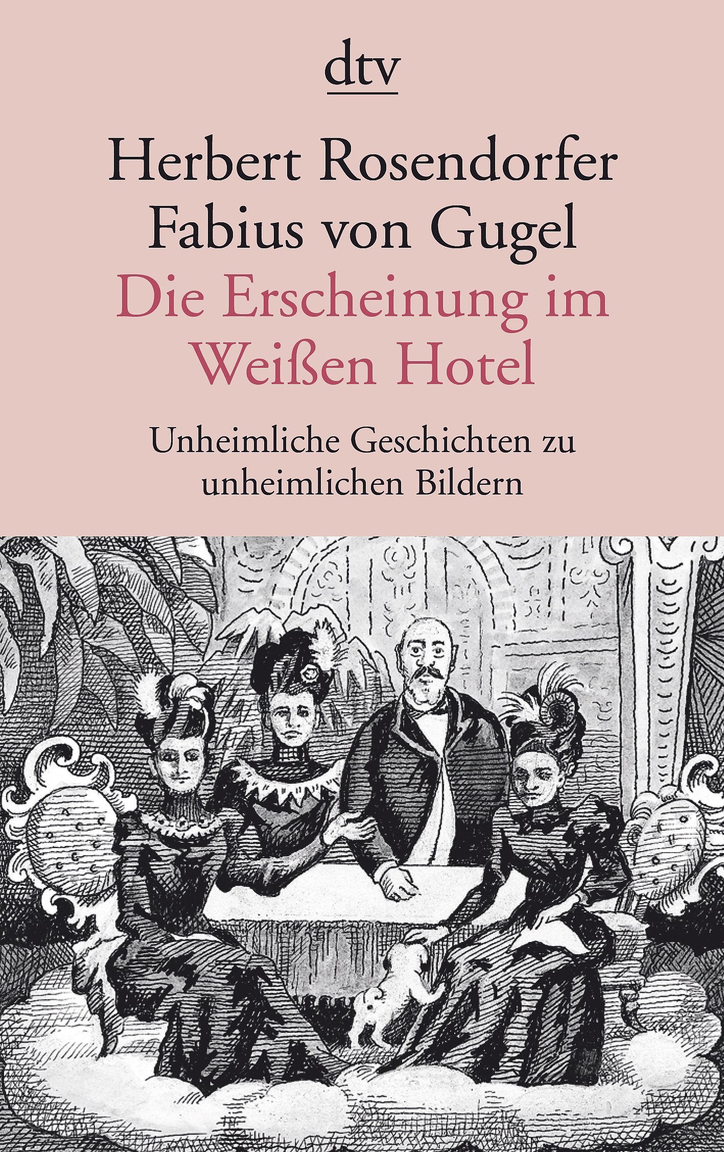 Die Erscheinung im Weißen Hotel: Unheimliche Geschichten zu unheimlichen Bildern (dtv Literatur) Contemporary literature