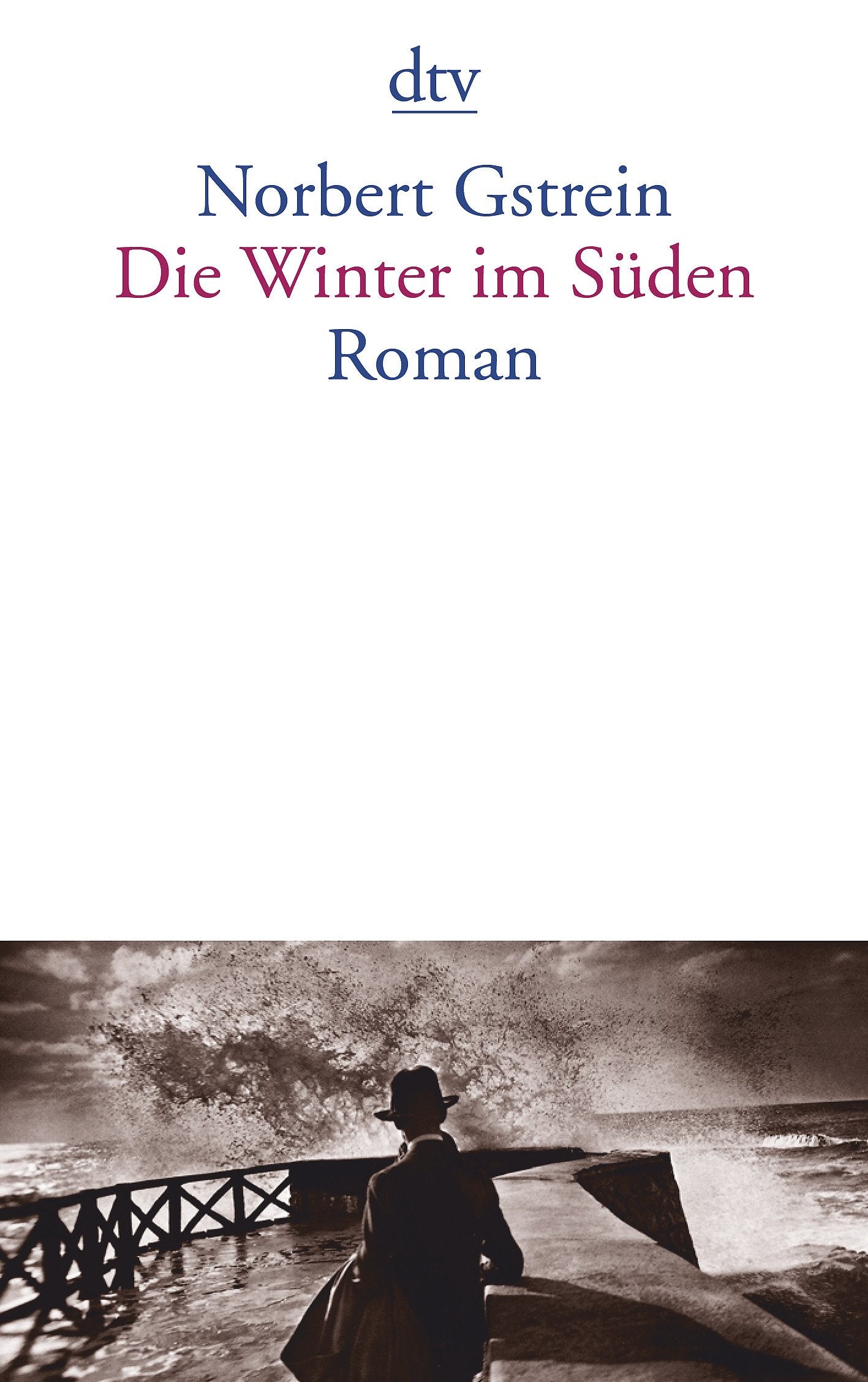 Die Winter im Süden Contemporary literature