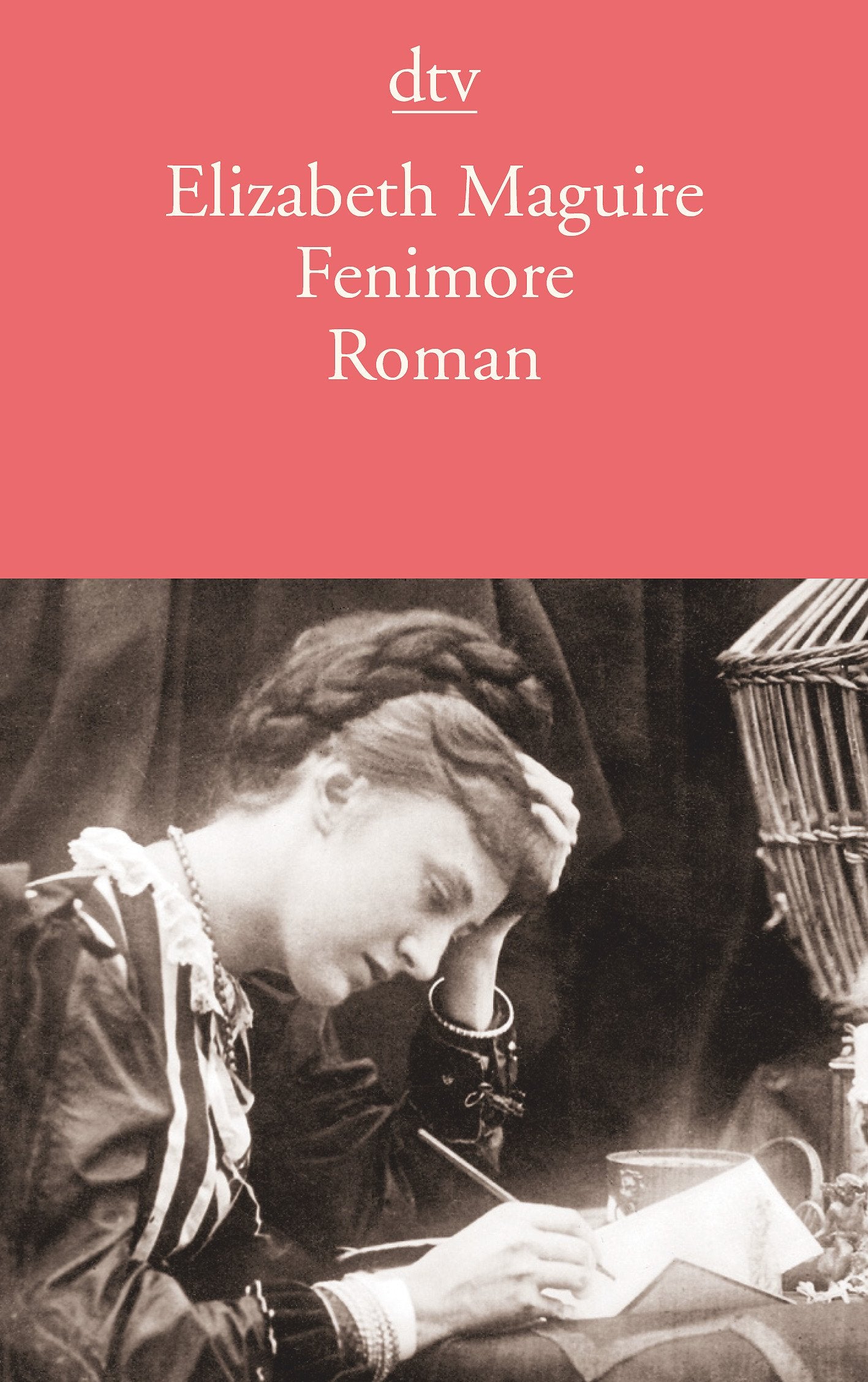 Fenimore: Roman (dtv Literatur) Contemporary literature